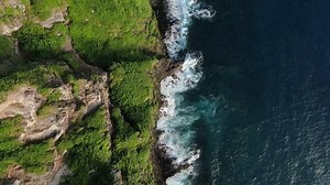 108K views · 385 reactions | Next week (19th-21st Oct.) we will have a virtual booth at this year’s #ABIM and present our #BioSolutions  Meet our experts virtually, visit our live Webex sessions and vote for a project you'd like us to fund! Register now  www.abim.ch/registration. In the meantime, watch our video for a taste of what’s to come! More info on our website: biosolutions.basf.com. #NaturalPartners #BioSolutions #BASFInAg | BASF Agricultural Solutions | Facebook