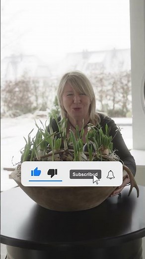 Watch the latest video Spring Awakening | Nordstil Imke Riedebusch