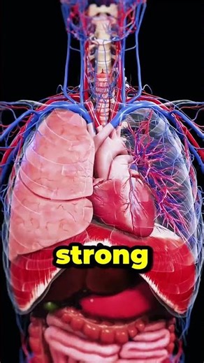 Discover 5 Major Health Benefits of Taking Fish Oil Today!