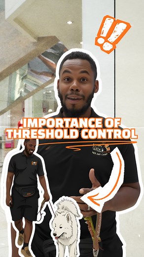 Trainers use words like impulse control and threshold work — and a lot of people think they’re just buzzwords. But here’s what we actually mean: Impulse control means your dog isn’t a risk to themselves or to grandma. It’s teaching them not to chase every pleasure they want in the moment, but to control themselves and look to you for guidance. Threshold work is simple: do you want a dog who bolts every time the door accidentally swings open? Impulse control saves lives. Threshold work prevents y