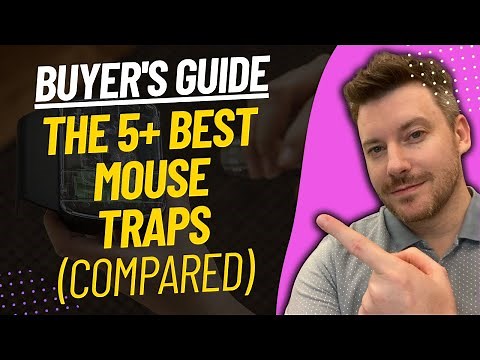 TOP 5 BEST Mouse Traps - Best Mouse Trap Review (2023)