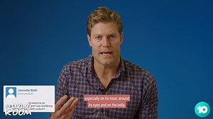 You asked...and Dr Chris Brown answers your pet questions! 🐱🐶 | The Living Room