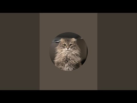 Эксперименты под Микроскопом (Experiments under the Microscope)