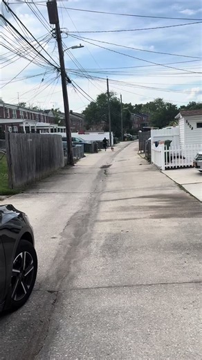 Z6necarl (@z6necarl)’s video of dogs running