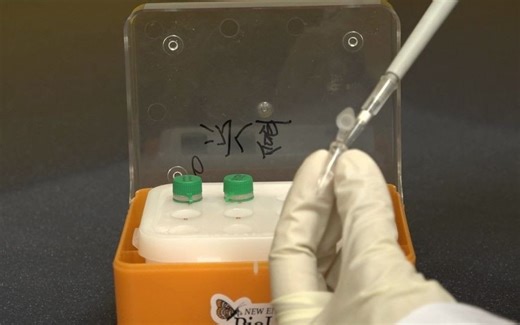 如何进行末端修复加 A 尾的实验操作？