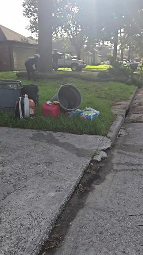 Tree Climbing Adventures: Falling Trees and Safe Techniques