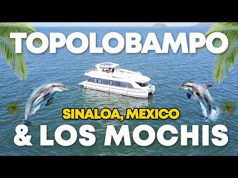 TOPOLOBAMPO y LOS MOCHIS ✅ SINALOA MÉXICO🇲🇽 Qué hacer? Donde hospedarse? 🐬Vimos al DELFIN PECHOCHO