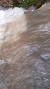 🦋Eppur NON si muove! La nostra Amata terra, la #calabria è stata messa a dura prova da eventi meteo che continuano ancora in questi giorni. Ci dispiace per quello che è successo e continua ad accadere nel nostro territorio, dove la forza dell'acqua sta distruggendo strade, argini, ponti e opere in calcestruzzo armato. 🦋Che siano state le Fate, o la nostra caparbietà nel credere e voler costruire un opera all'interno dell'alveo totalmente ecosostenibile senza utilizzare calcestruzzo armato, non