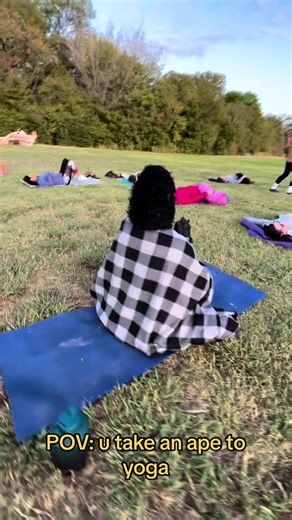 When take an ape to yoga, he might steal the whole show… 😂 book now to swing like an ape, the weather is great for some family friendly fun! See ya soon 👋 #thingstodo #yoga #adventure