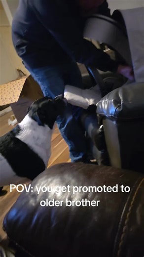 Our very own TSA agent 🤣🩵🐾✨️