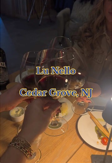 Lu Nello in Cedar Grove, NJ 🤍 The perfect spot for a date night or girls’ night. Full bar, killer dirty martinis, and classic Italian with a modern twist #fyp #scorpio #nj #gno #girlsnight