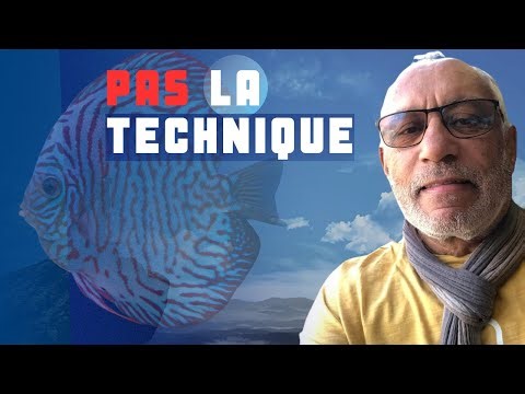 La technique ne sauvera PAS tes Discus (Voici pourquoi)