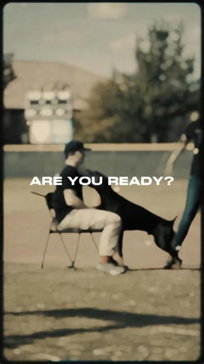 🚨 The BITE SQUAD is HERE! 🚨 Get ready — new event info drops soon 👀 and fresh merch just hit the yard! Lock it in. The countdown to UDC Nationals 2026: Prison Break Edition has begun. 👉 https://www.udcnational2026.com/shop/merchandise #UDCNationals2026 #PrisonBreakEdition #DobermanStrong #TheYardTrials #UDC #UnitedDobermanClub | United Doberman Club