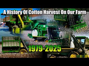 A History Of Cotton Harvest On Our Farm! Cotton Harvest #11