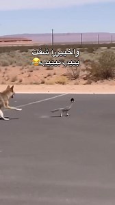 Abdelli Lite on Reels