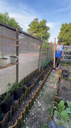 Building a Simple Trellis for Cucumbers & Climbing Plants in My Mini Garden #gardening