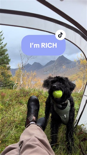 I need absolutely nothing else 😌 #dog #mountains #camping #nature