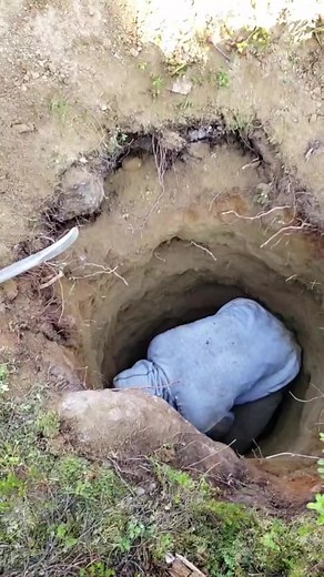 Meteorite Hunting ☄︎ on TikTok