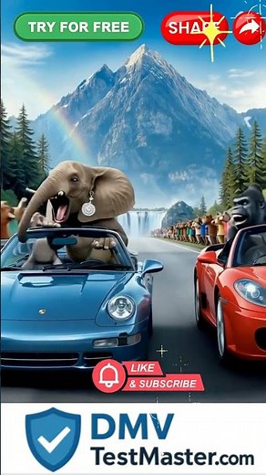 🚘❤️🏆DMVTestMaster The Beat Drivers License Practice.