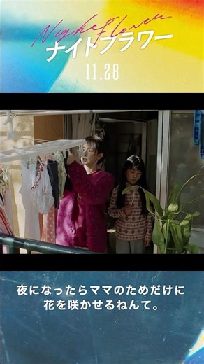✦₊❁ 本編映像公開中 ❁₊✦「夜になったらママのためだけに花を咲かせるねんて」夏希のもとに行き着いた〈#ナイトフラワー〉この花は物語の中でどう動いていくのかー。#北川景子 #渡瀬結美 #加藤侑大