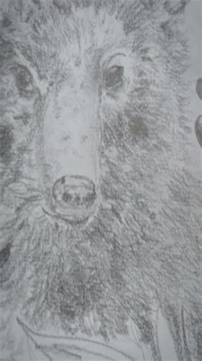 Full-Time Visual Arts Installations