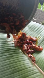 SNAPPING SHRIMP | Jor Trip TV