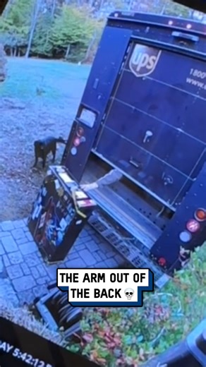 Why did they deliver my package like this 🤣📦 #delivery #parcel #fails | UNILAD Tech