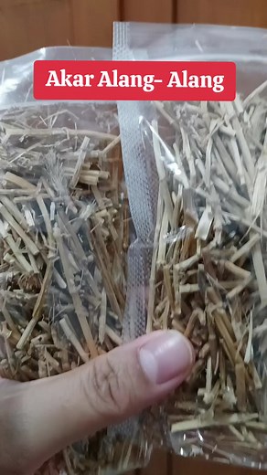 Akar alang-alang#akaralangalang#gilagilajualan #belilokal #promoguncang1010