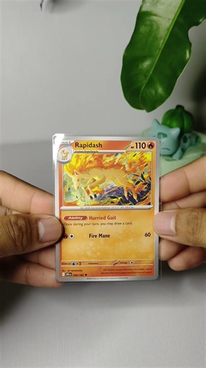 Part 10: Ponyta & Rapidash - Completing the Gen 1 Pokedex! #pokemon #pokedexdad #pokemontcg