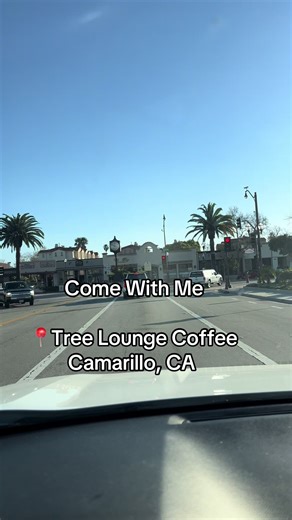 Exploring Tree Lounge Coffee in Camarillo, CA