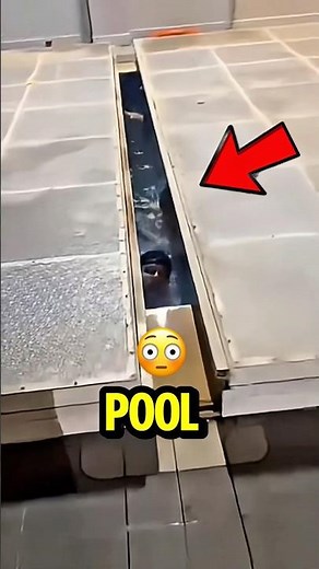 Trapped Beneath a Pool Cover: Footage Reveals the Incident😱