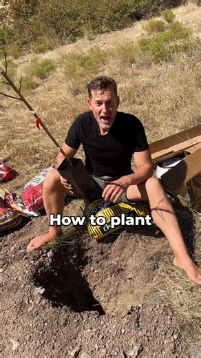 How to Plant a Fruit Tree the Non-Toxic Way 🌱. Most people plant fruit trees with chemical fertilizers and lifeless soil; but there’s a better way to support your soil microbiome and grow stronger, healthier fruit trees! Here’s how to do it step-by-step 👇 1️⃣ Choose organic and zone-matched: start with an organic fruit tree suited for your growing zone. 2️⃣ Dig it right: go twice as wide as the root ball and just as deep. 3️⃣ Feed your soil: mix rocky or tired soil with 100% organic soil that 