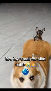 J on Instagram: "Day 194"