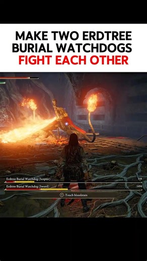 Make Erdtree Watchdogs fight each other #eldenring