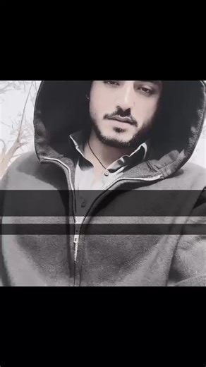 Support My TikTok Account Recovery Today