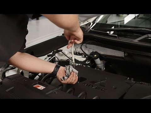 How to check your car fluids