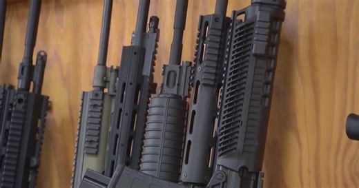 Lawmakers call on DuPage Sheriff to retract vow not to enforce assault weapons ban