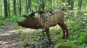 Top archers to compete in IBO world championship in southwestern Pennsylvania