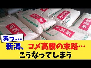 新潟、コメ高騰の末路…こうなってしまう
