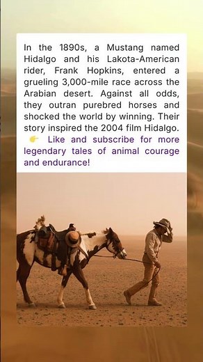 Hidalgo - The Mustang Who Crossed the Desert