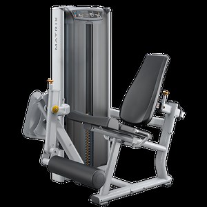 Matrix Versa Leg Extension
