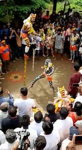 585K views · 8.2K reactions | Krishna Janmashtami and Pili Nalike (Tiger Dance) is synonym in the ”Tulunadu” Costal part of Karnataka. Here is a glimpse… | C T Ravi | Facebook