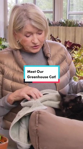 Meet Our Greenhouse Cat! Martha Stewart's Feline Pest Control Expert