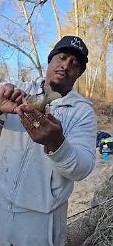 BREAM Brim fishing the Ochlockonee River. This one's for you Momma!