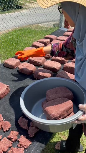 347K views · 2.2K reactions | Miri home made belacan. | Alan Razlan | Facebook