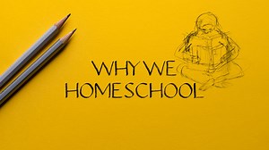 410K views · 5.4K shares | Why do we #homeschool? | Brian Holdsworth | Facebook