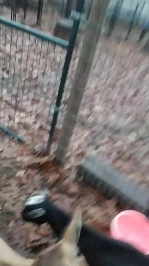 Roger Pottorff on Reels | Facebook