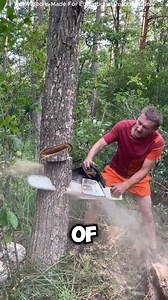 8.1K views · 63 reactions | Why This Tree Cutting Method Is Better Than Machine勞 #this #tree #cuttingskills #facts | Khushi Truck driver | Facebook