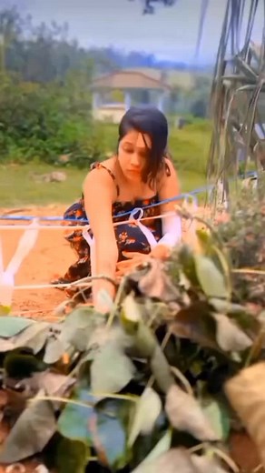 Understanding Gima Boy's Mysterious Video