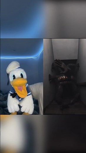 Donald Ducc Just Want Some Snacks